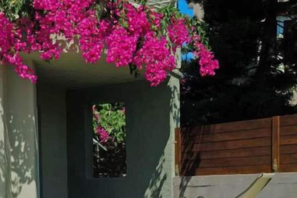 Photo of Outdoor in Agkisaras