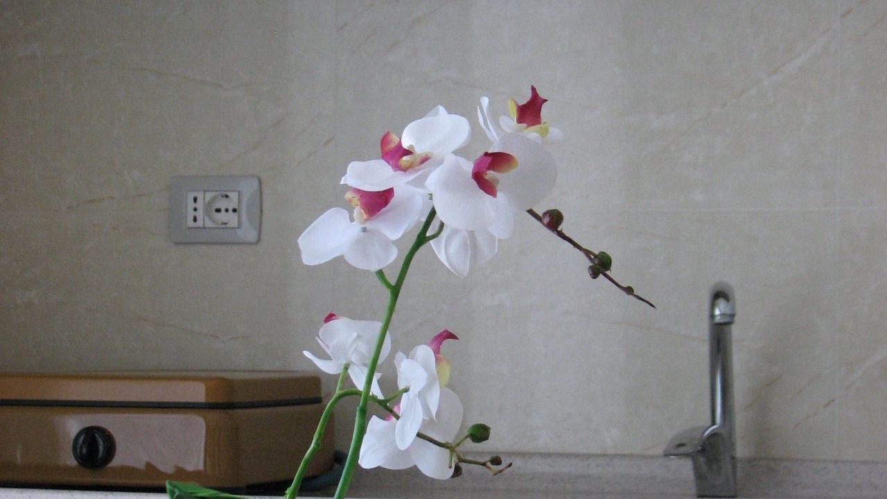 Photo of Patio Balcony in Velipoje