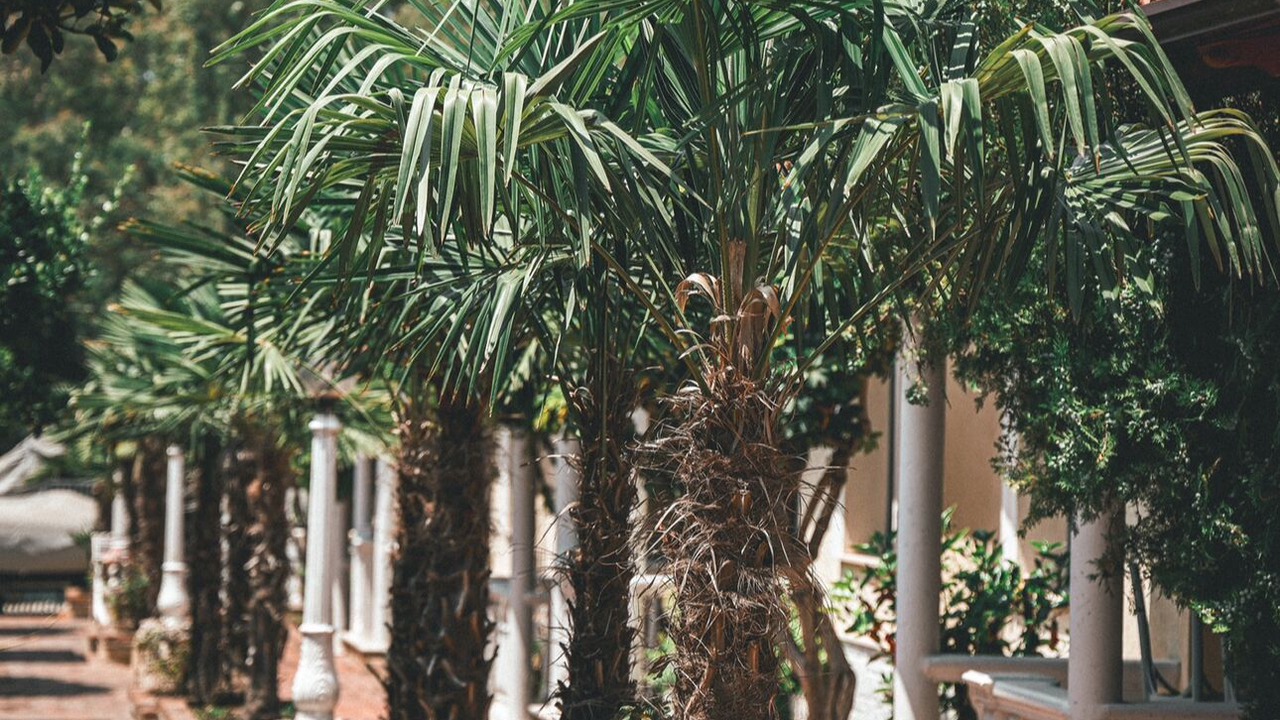 Photo of Outdoor in Radhime