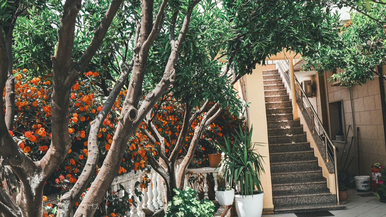 Photo of Outdoor in Radhime