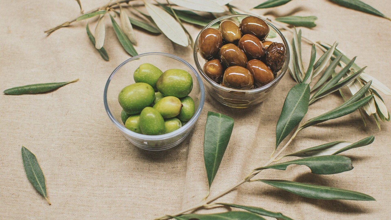 Photo of Others in Xifias