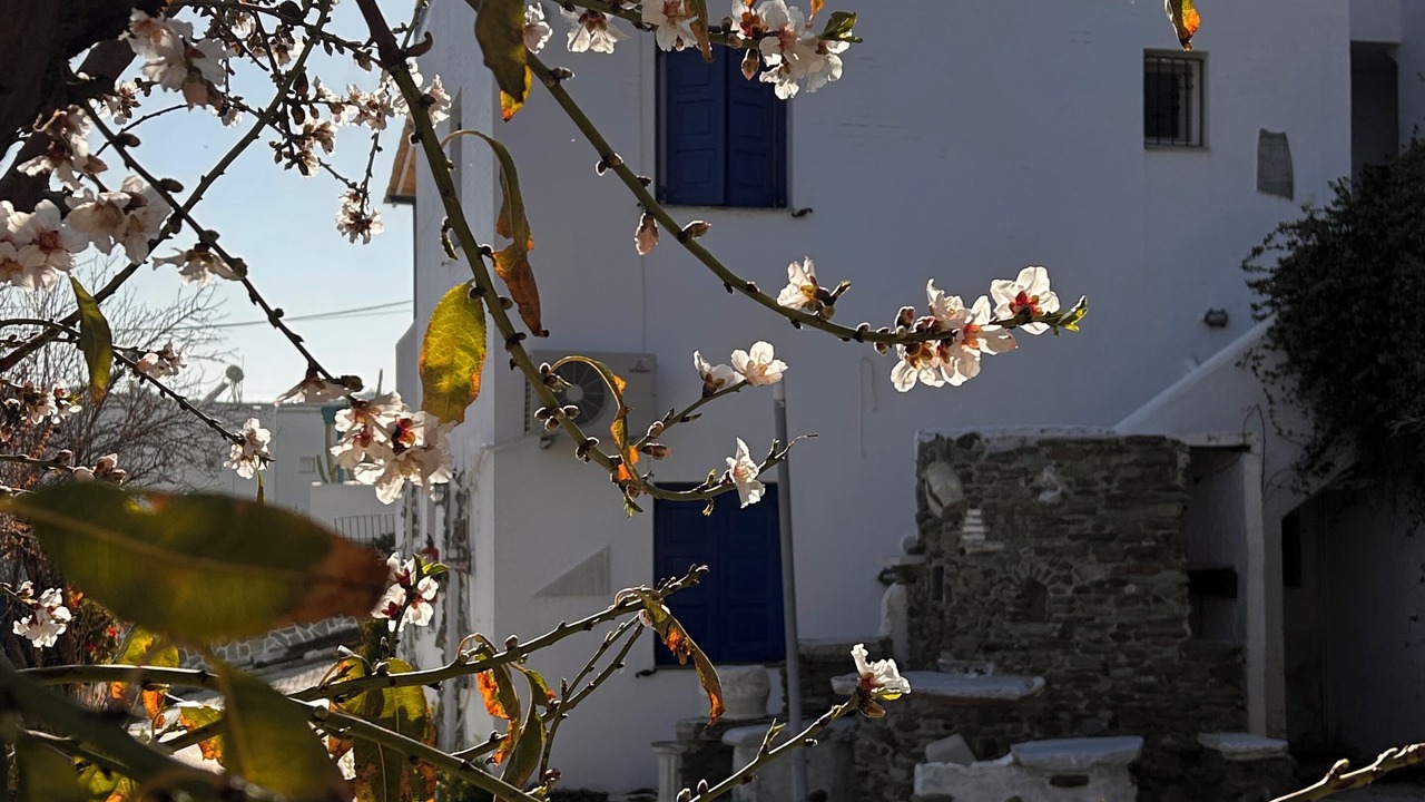 Photo of Outdoor in Kini