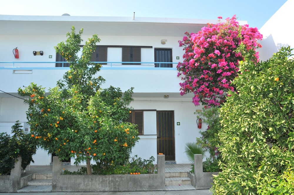 Photo of Outdoor in Psalidi