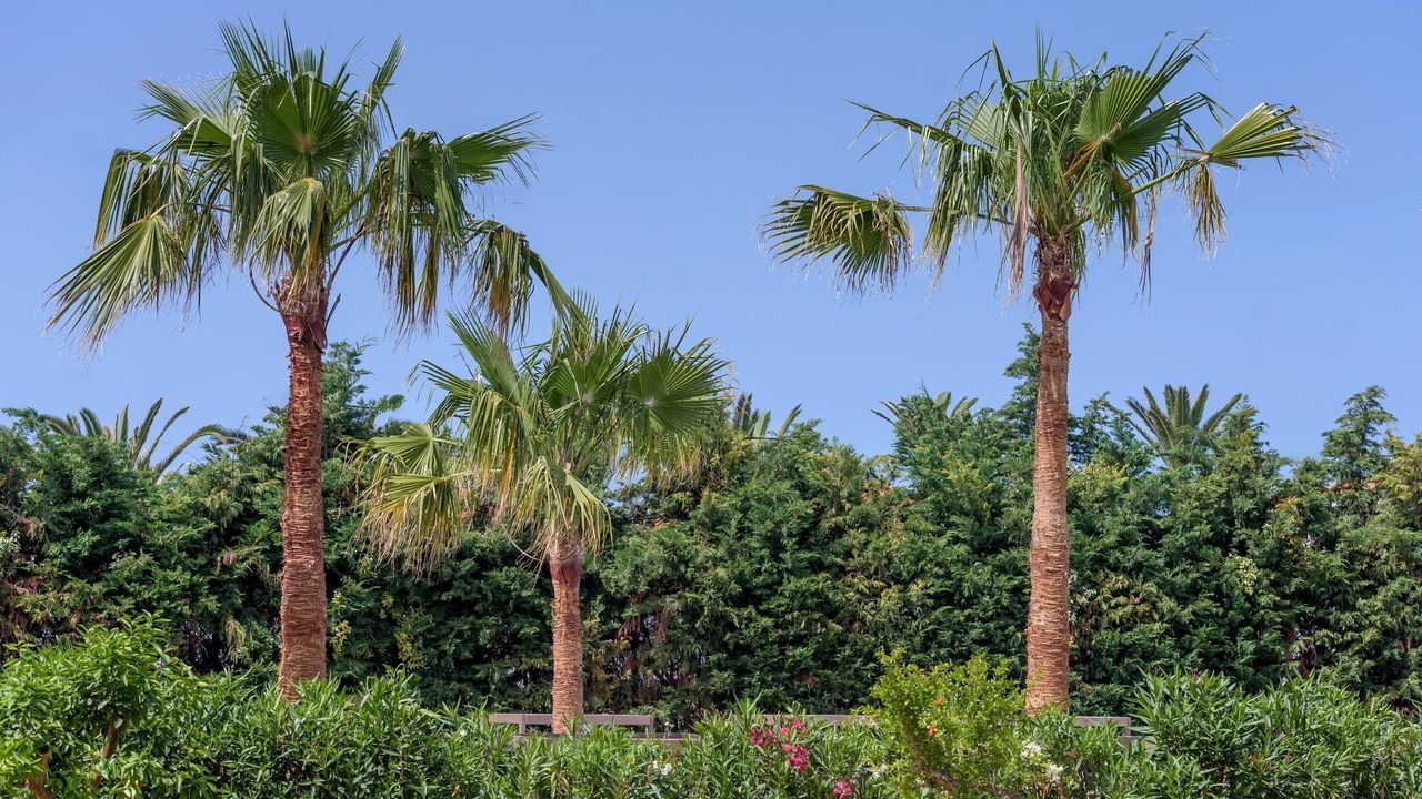 Photo of Outdoor in Adelianos Kampos