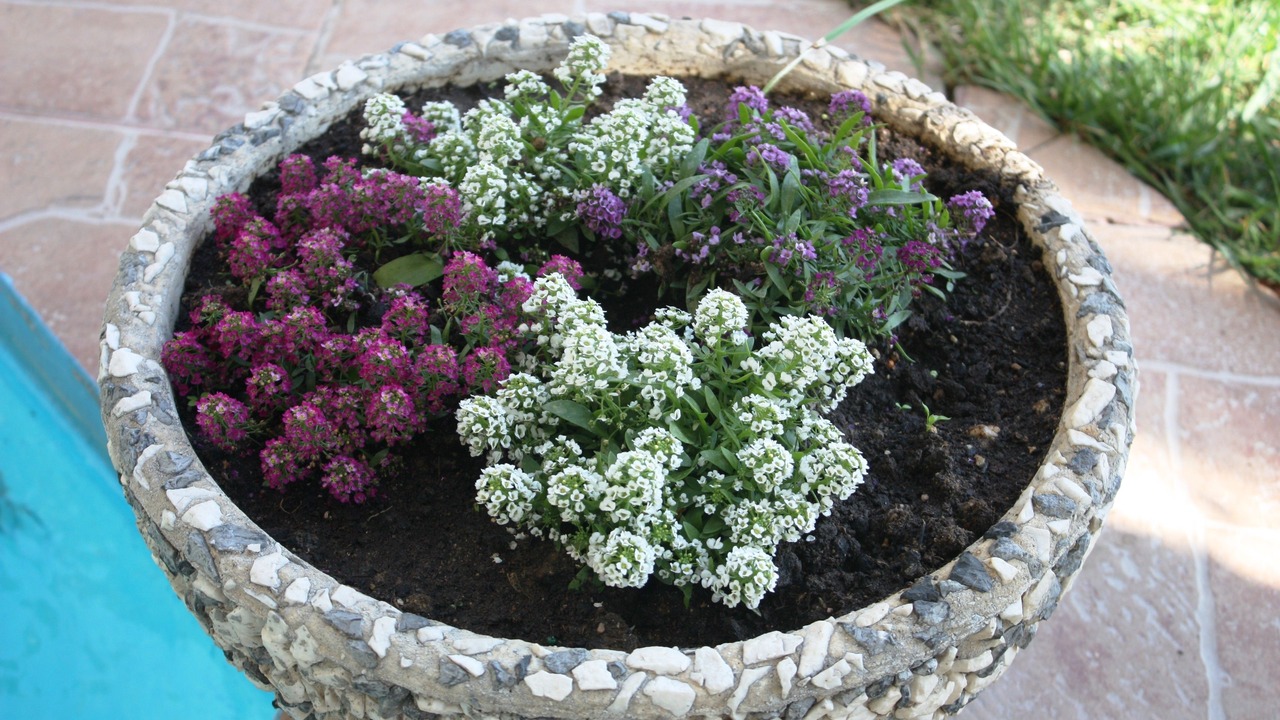 Photo of Outdoor in Kallikratia