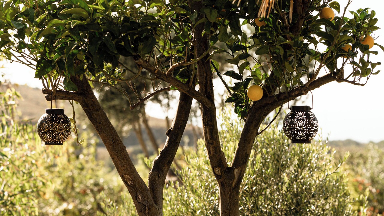 Photo of Outdoor in Ishem