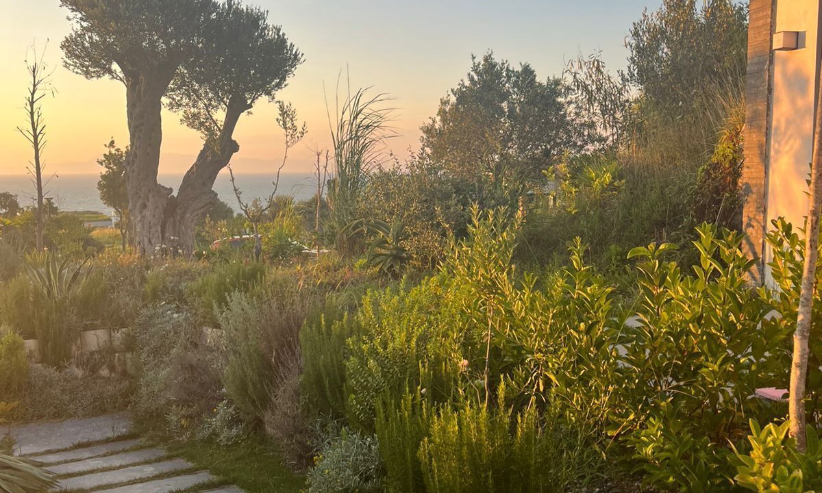 Photo of Outdoor in Ishem