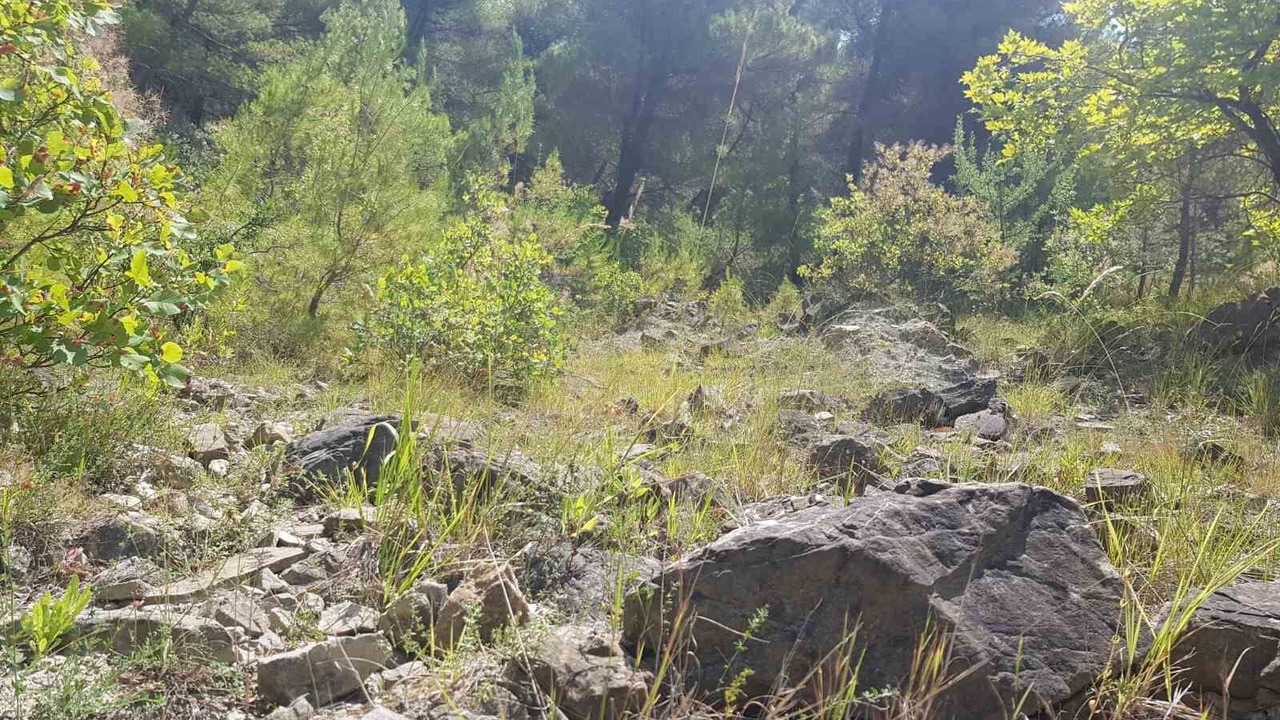Photo of Outdoor in Sinje