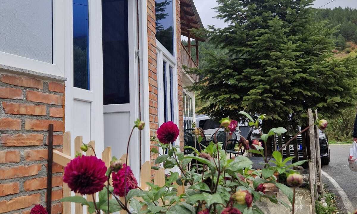 Photo of Outdoor in Kala e Dodes