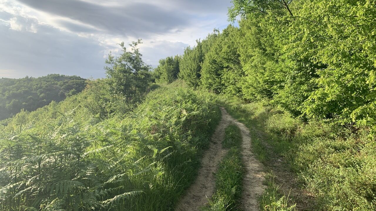 Photo of Outdoor in Farke