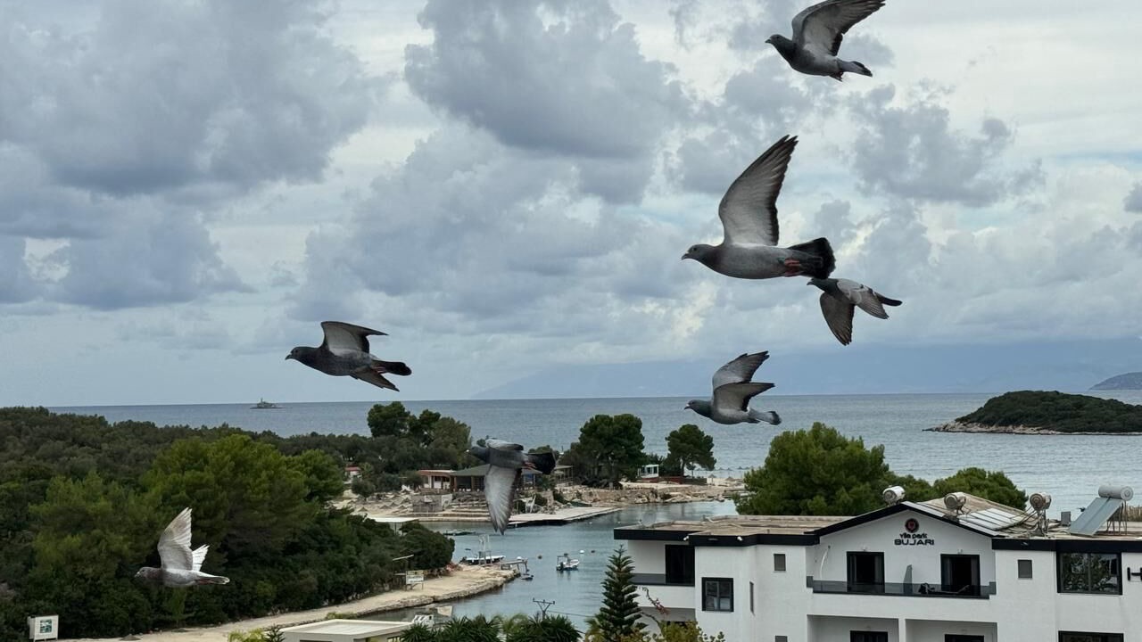 Photo of Patio Balcony in Ksamil