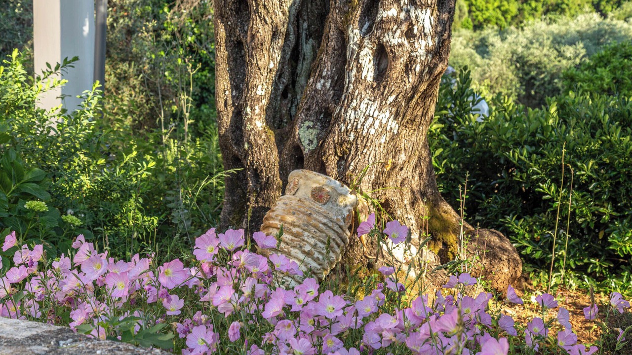 Photo of Outdoor in Petaleia