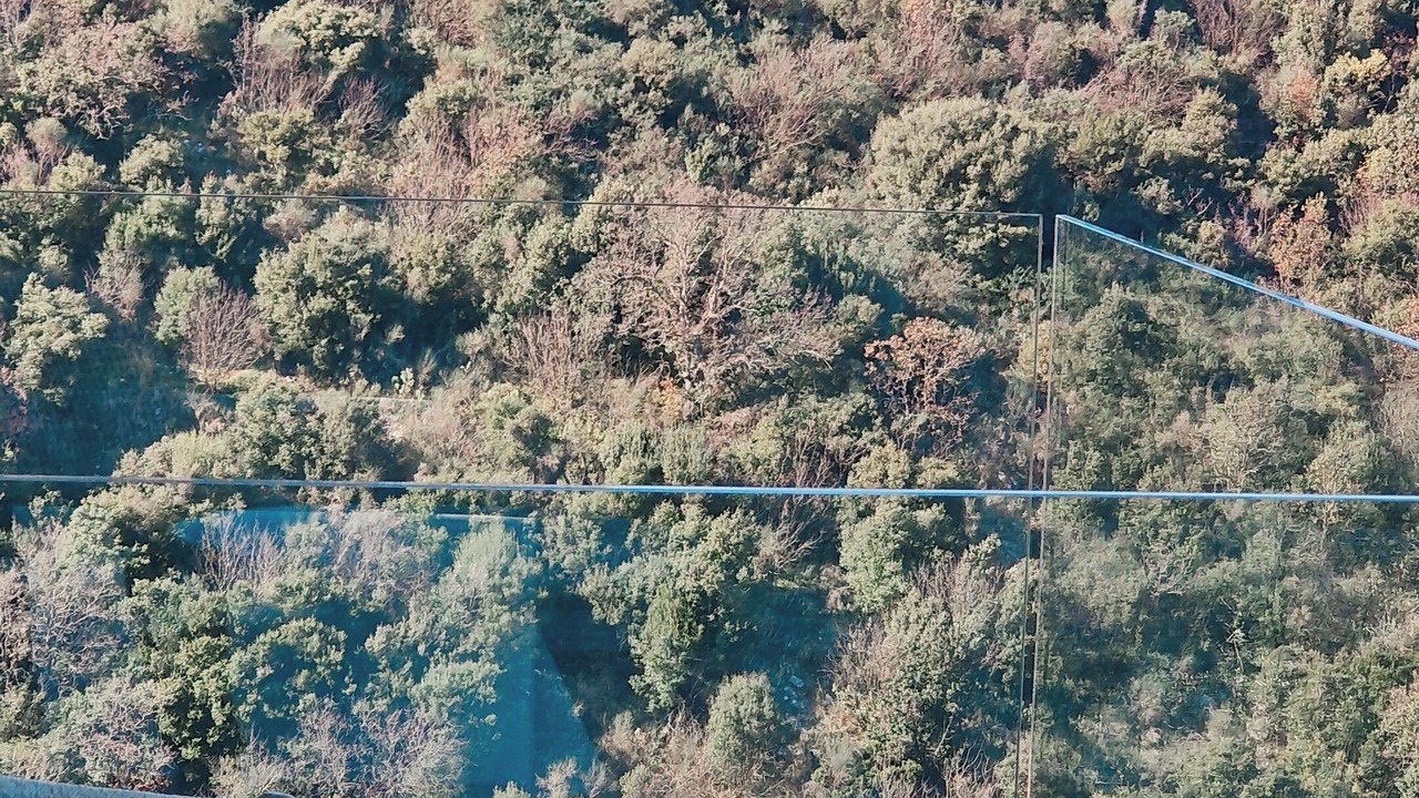 Photo of Outdoor in Petaleia