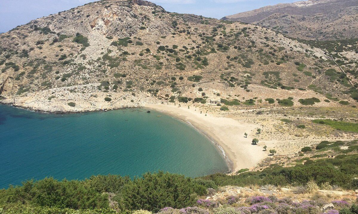 Photo of Others in Kini