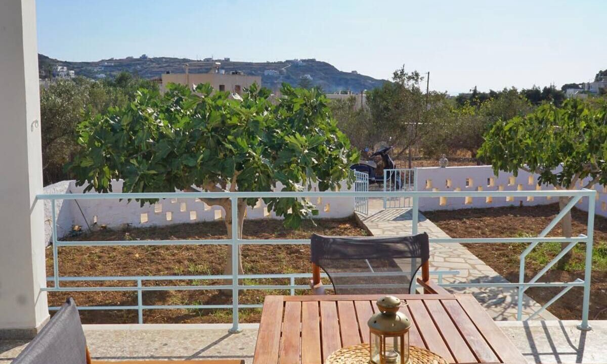 Photo of Outdoor in Kini
