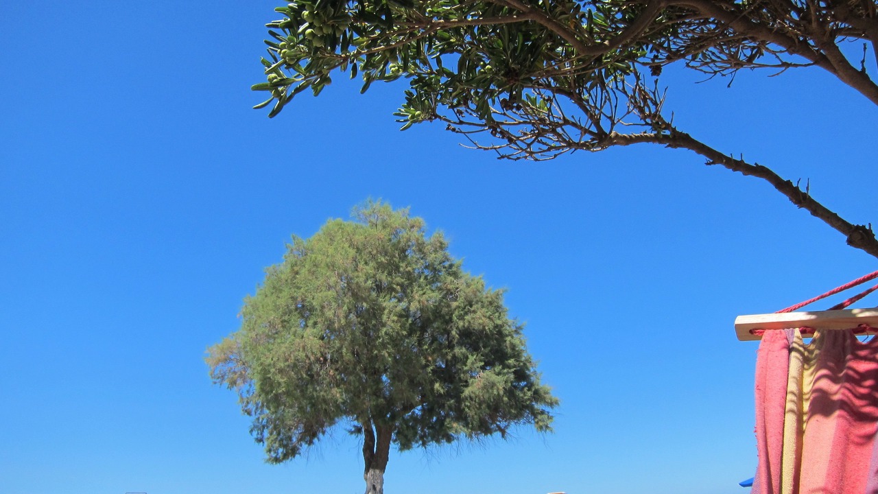 Photo of Others in Gerani