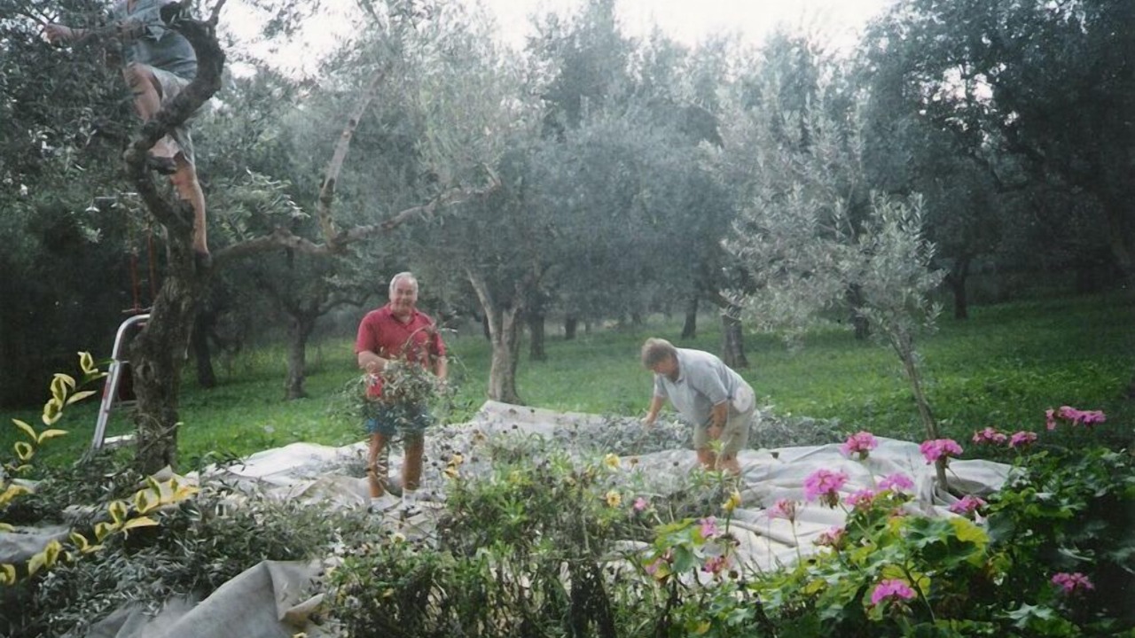 Photo of Others in Laganas