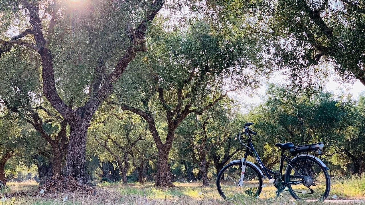 Photo of Outdoor in Laganas