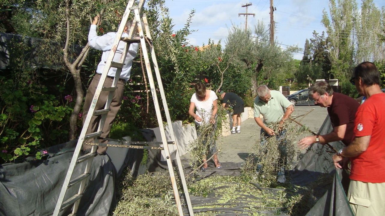 Photo of Others in Laganas