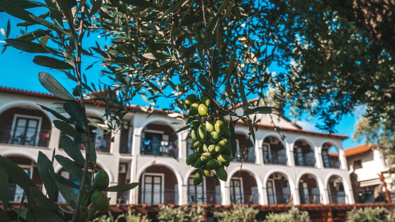 Photo of Outdoor in Laganas
