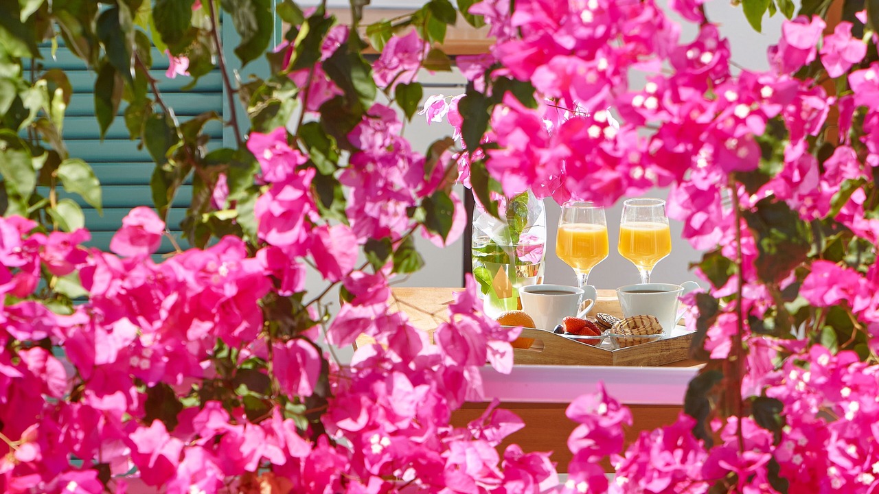 Photo of Patio Balcony in Analipsi