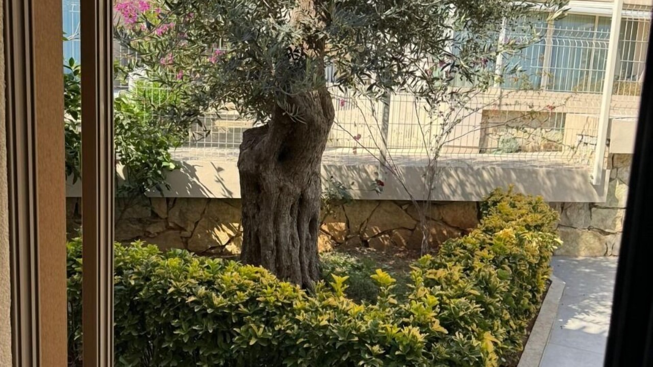 Photo of Outdoor in Jala