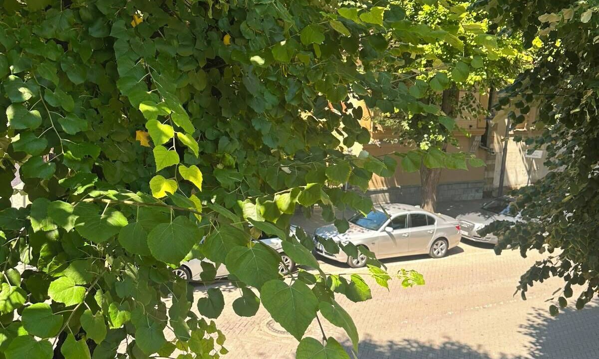 Photo of Bedroom in Korce