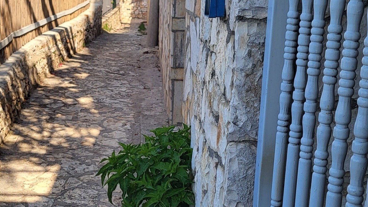 Photo of Outdoor in Himare