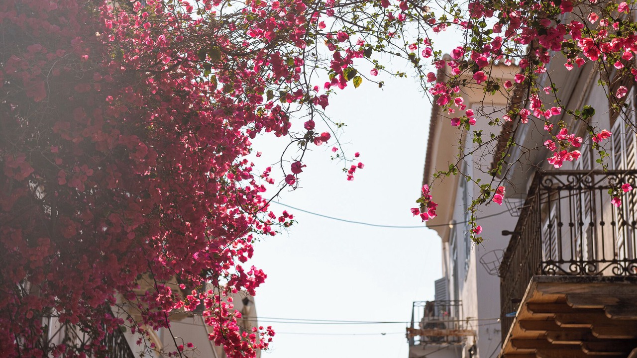 Photo of Outdoor in Nafplion City Centre