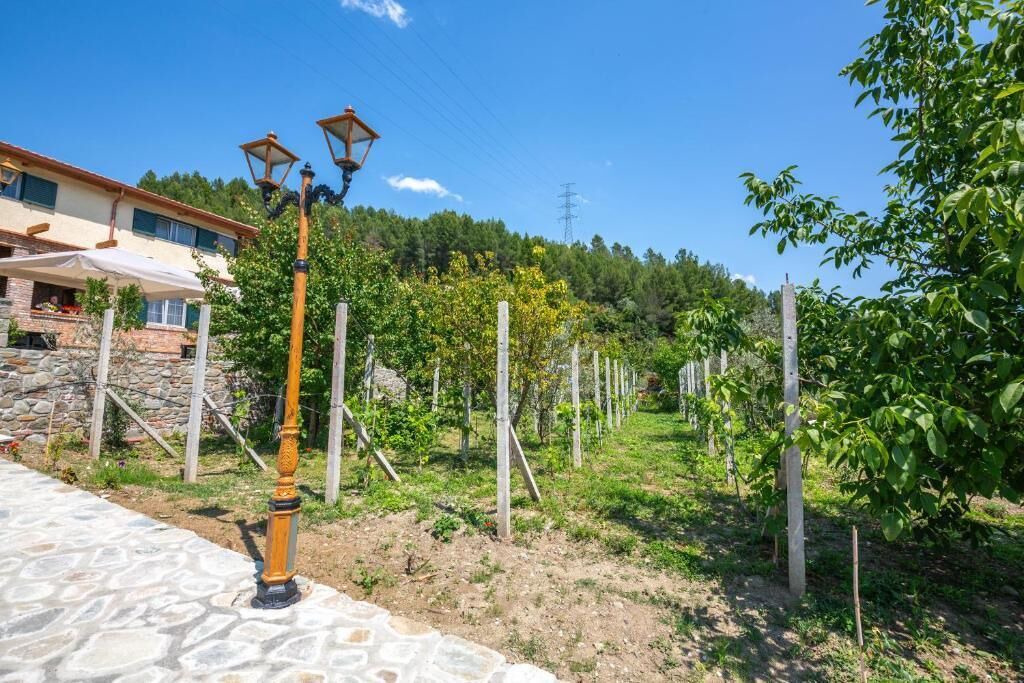Photo of Outdoor in Elbasan County