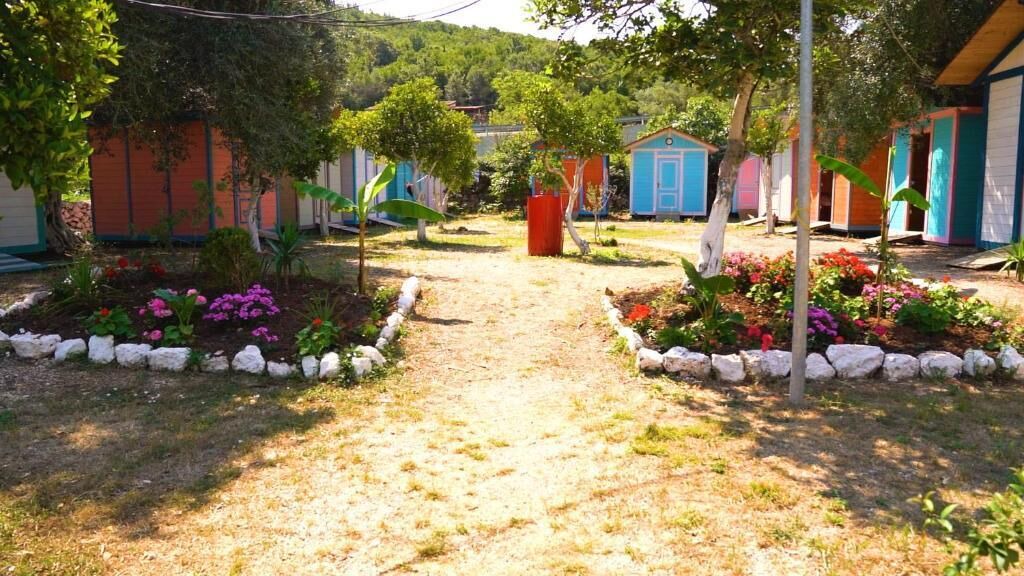 Photo of Outdoor in Jala
