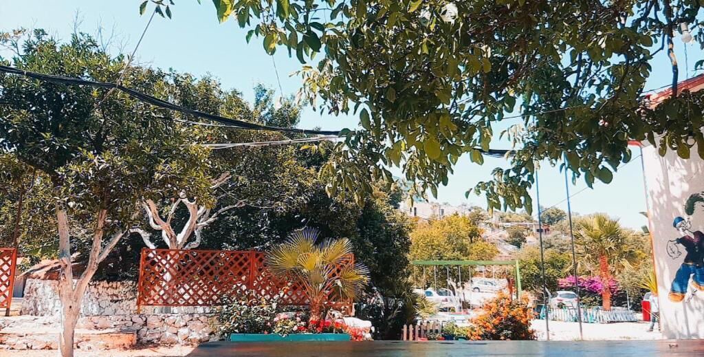 Photo of Outdoor in Jala