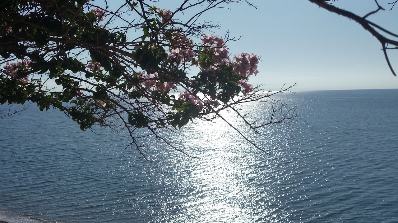 Photo of Outdoor in Aipeia