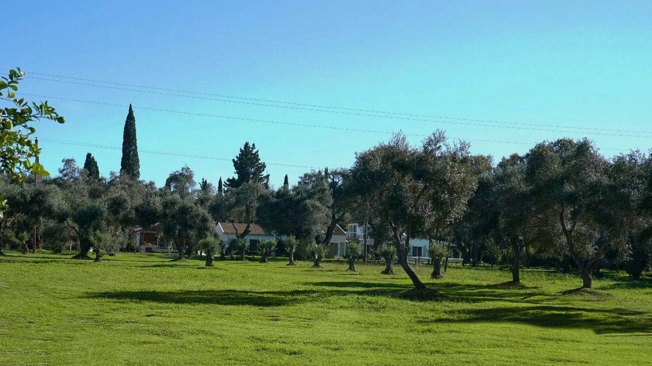 Photo of Others in Lefkimmi