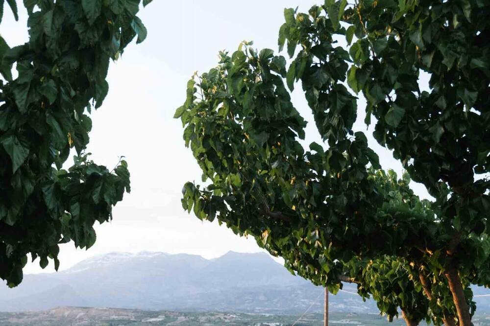 Photo of Outdoor in Petrokefalion