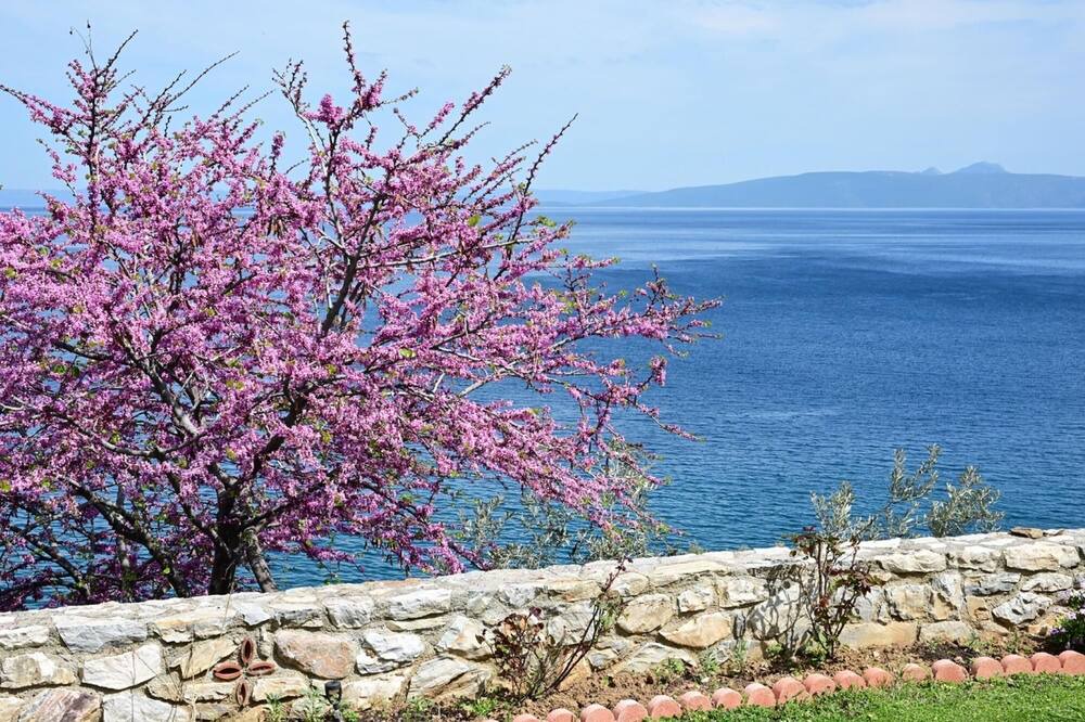 Photo of Outdoor in Sourpi