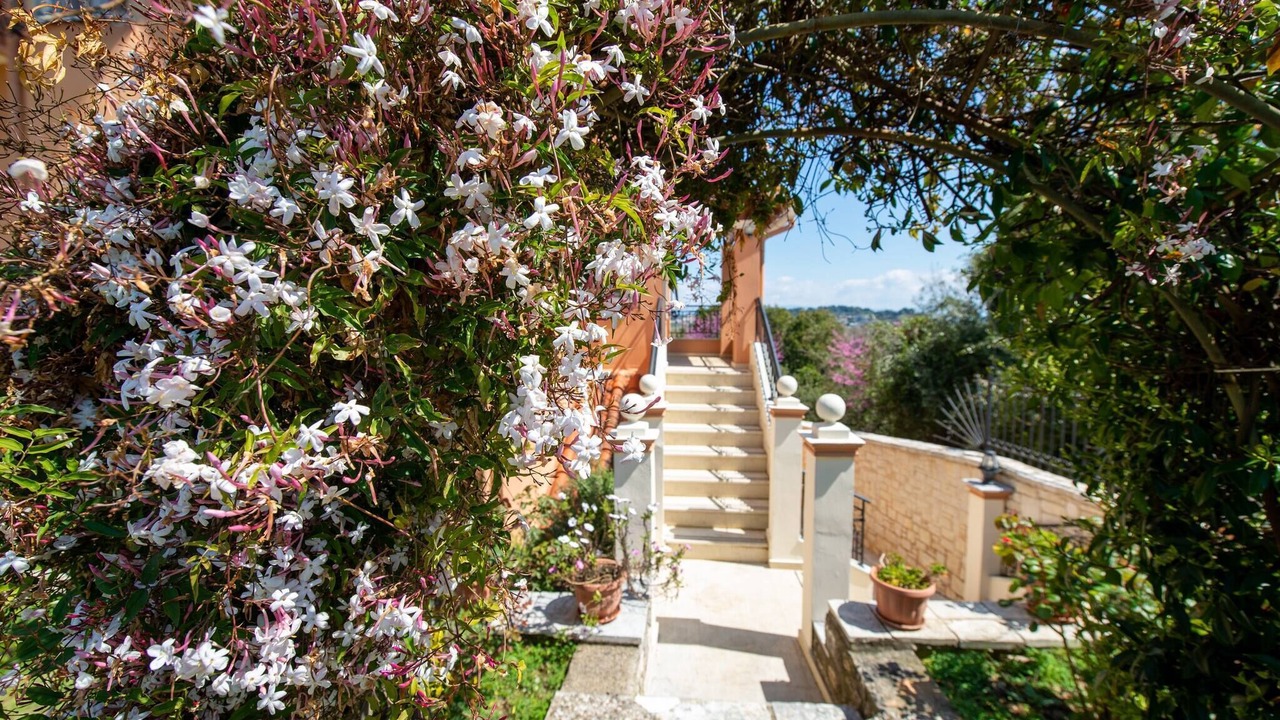 Photo of Patio Balcony in Perama