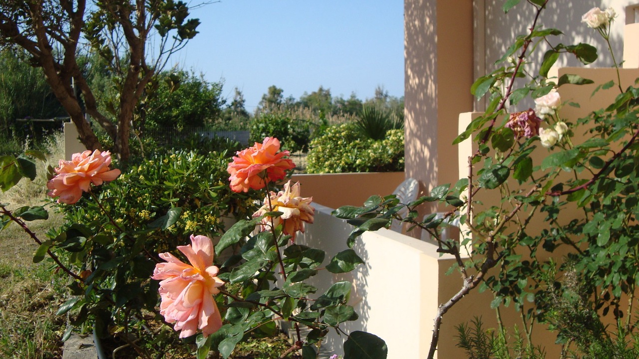 Photo of Patio Balcony in Misiria