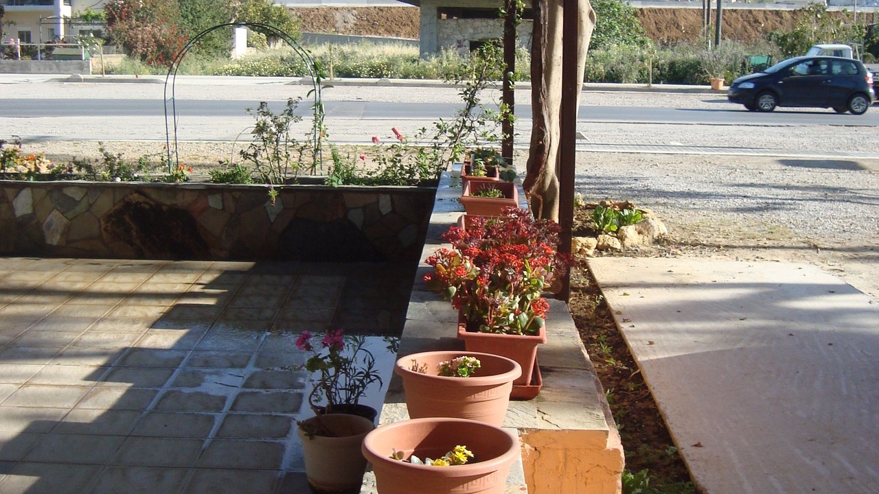 Photo of Outdoor in Misiria