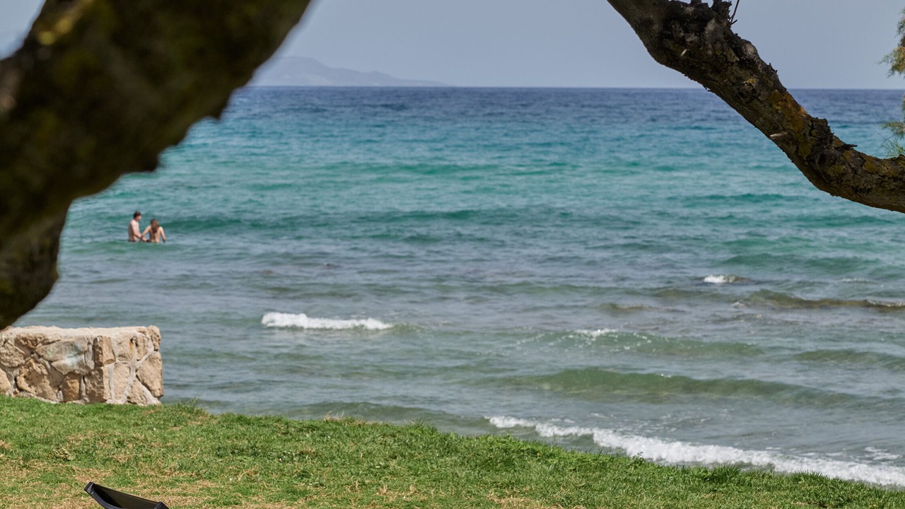 Photo of Others in Tsilivi