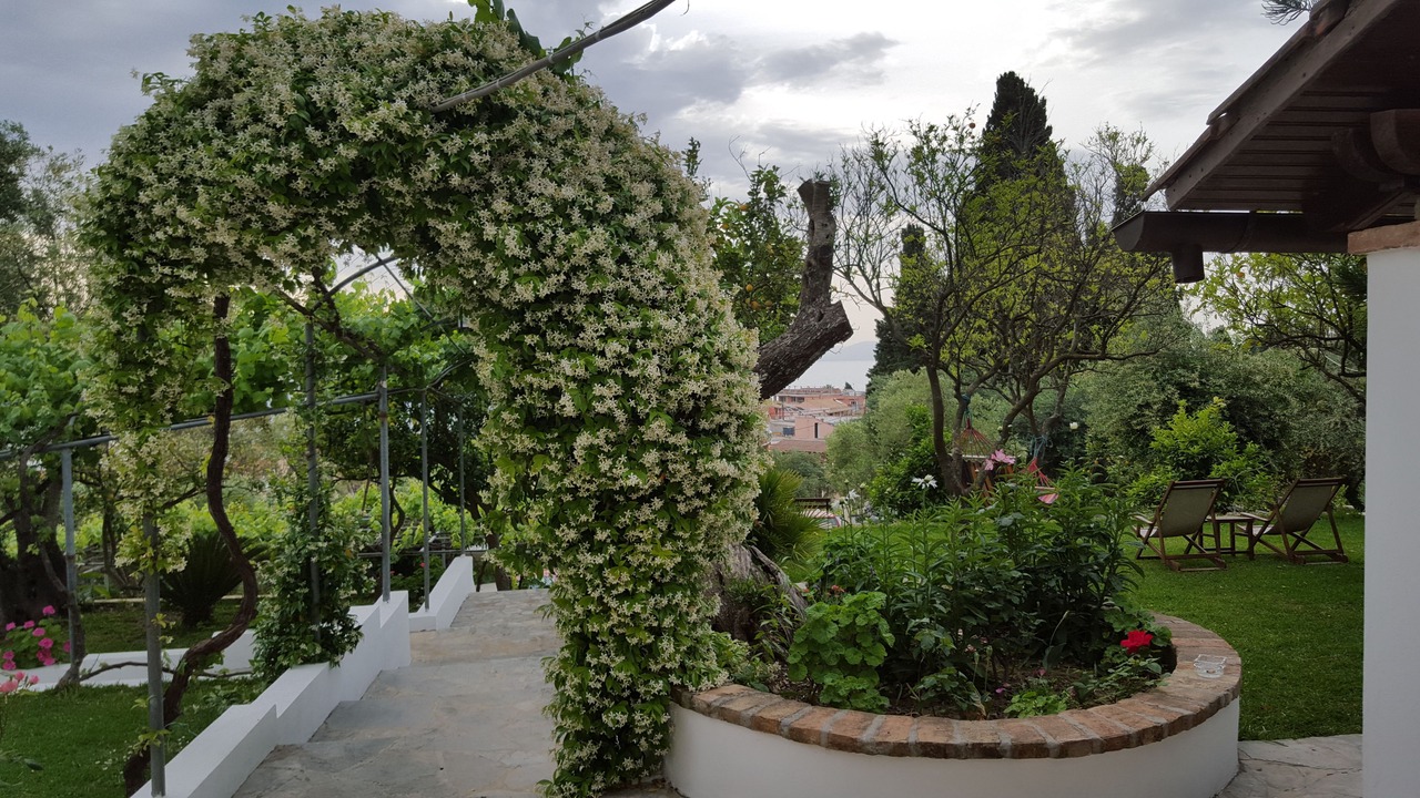 Photo of Outdoor in Benitses