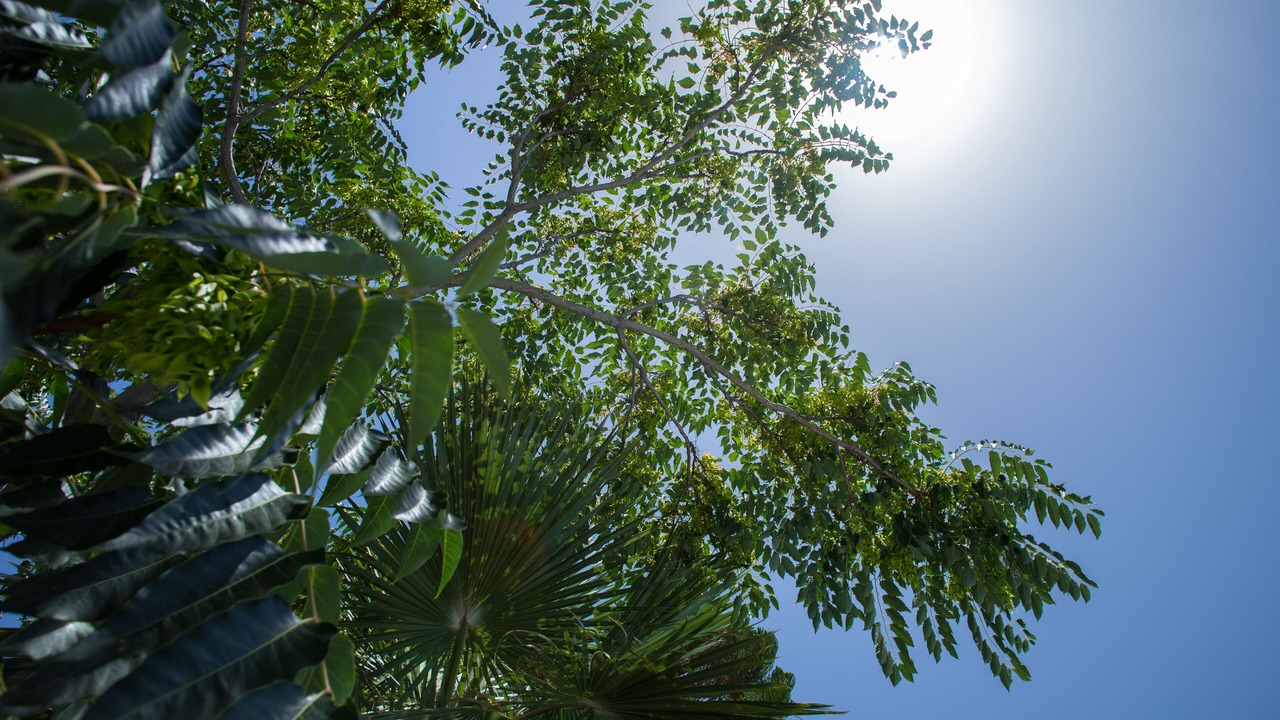 Photo of Outdoor in Karterados