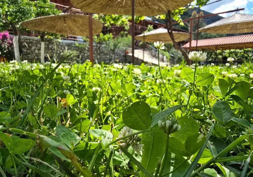 Photo of Outdoor in Qazim Pali