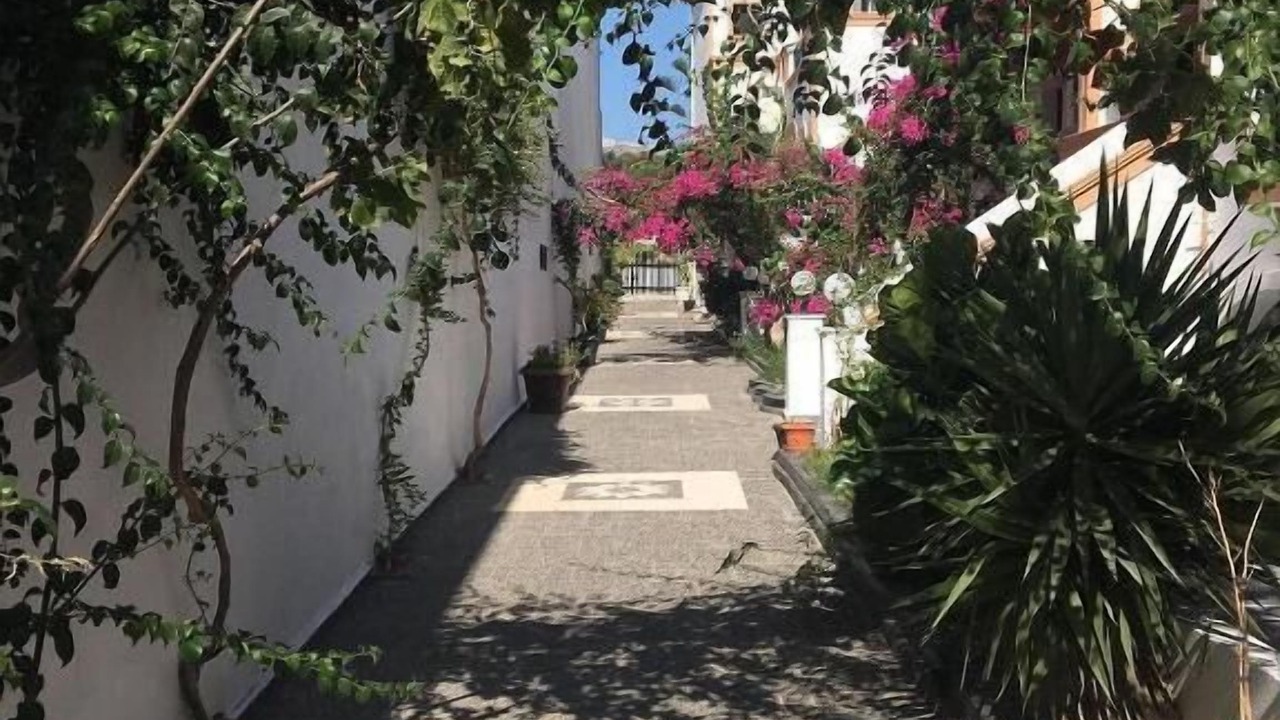 Photo of Outdoor in Kamari