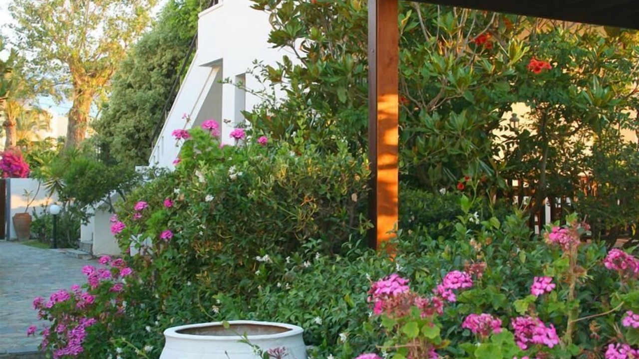 Photo of Outdoor in Platanias Town