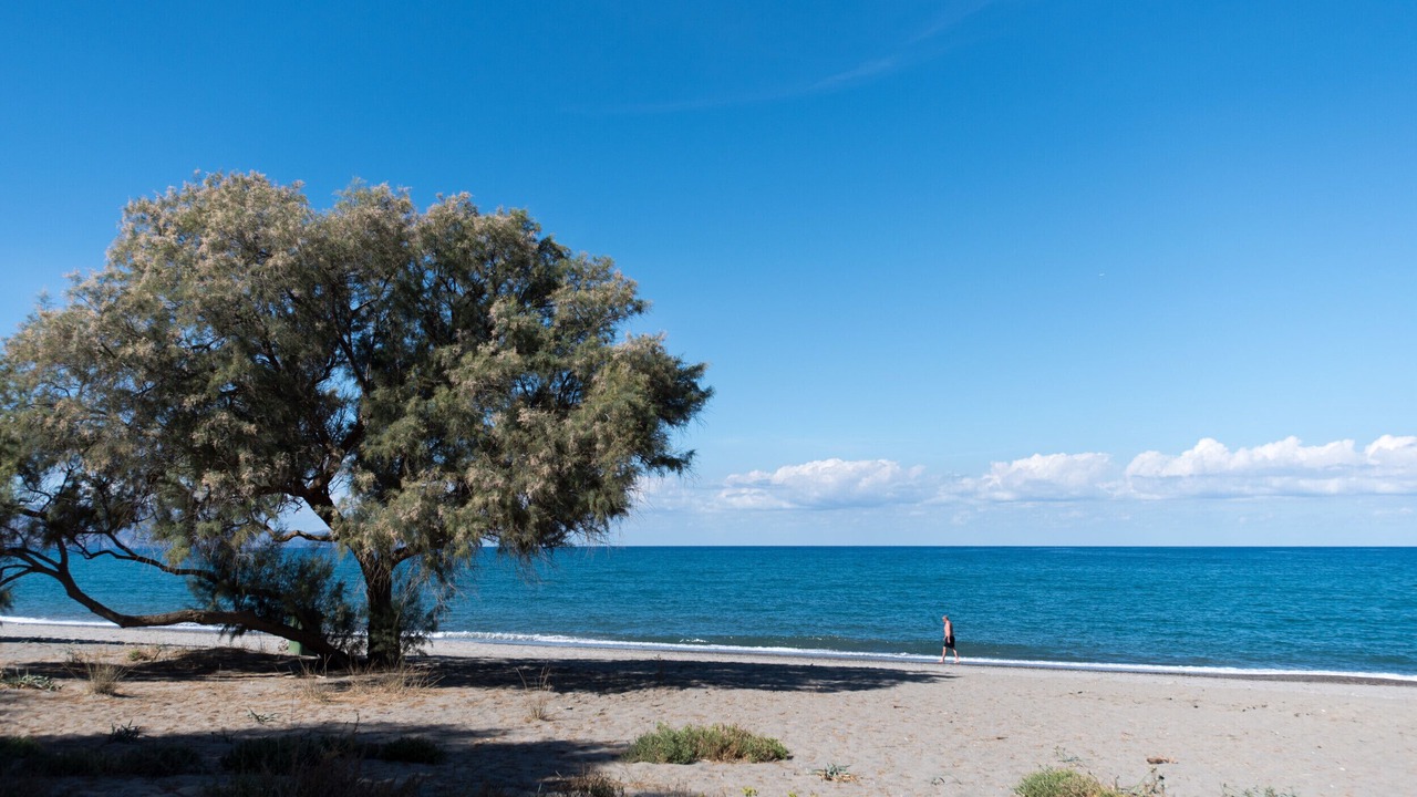 Photo of Others in Platanias Town