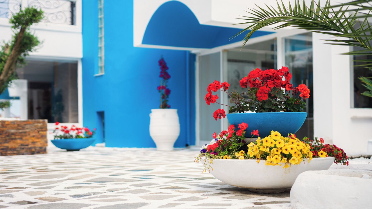 Photo of Outdoor in Potos