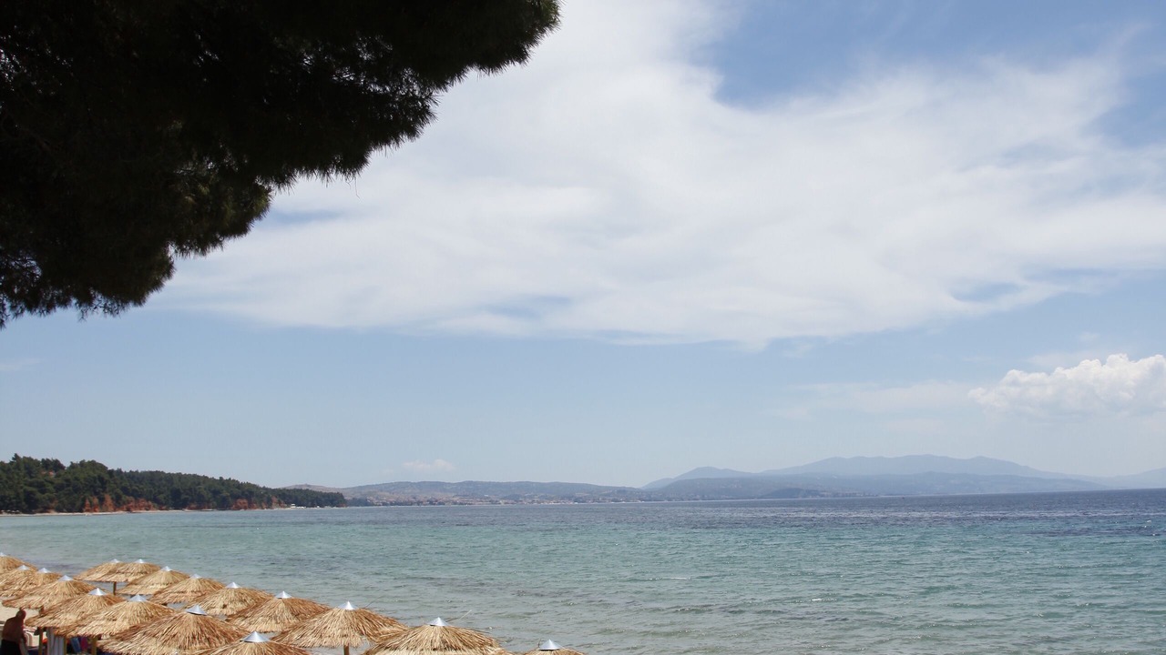 Photo of Others in Metamorfosi