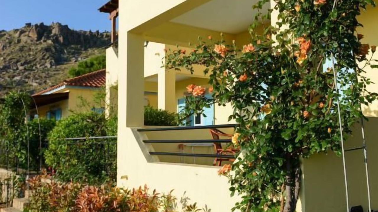 Photo of Outdoor in Platy