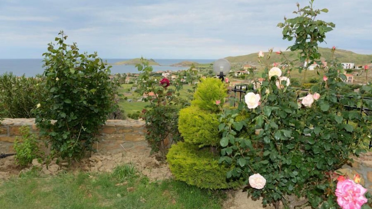 Photo of Outdoor in Platy